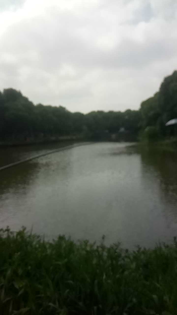 丰饶路浏翔公路路口