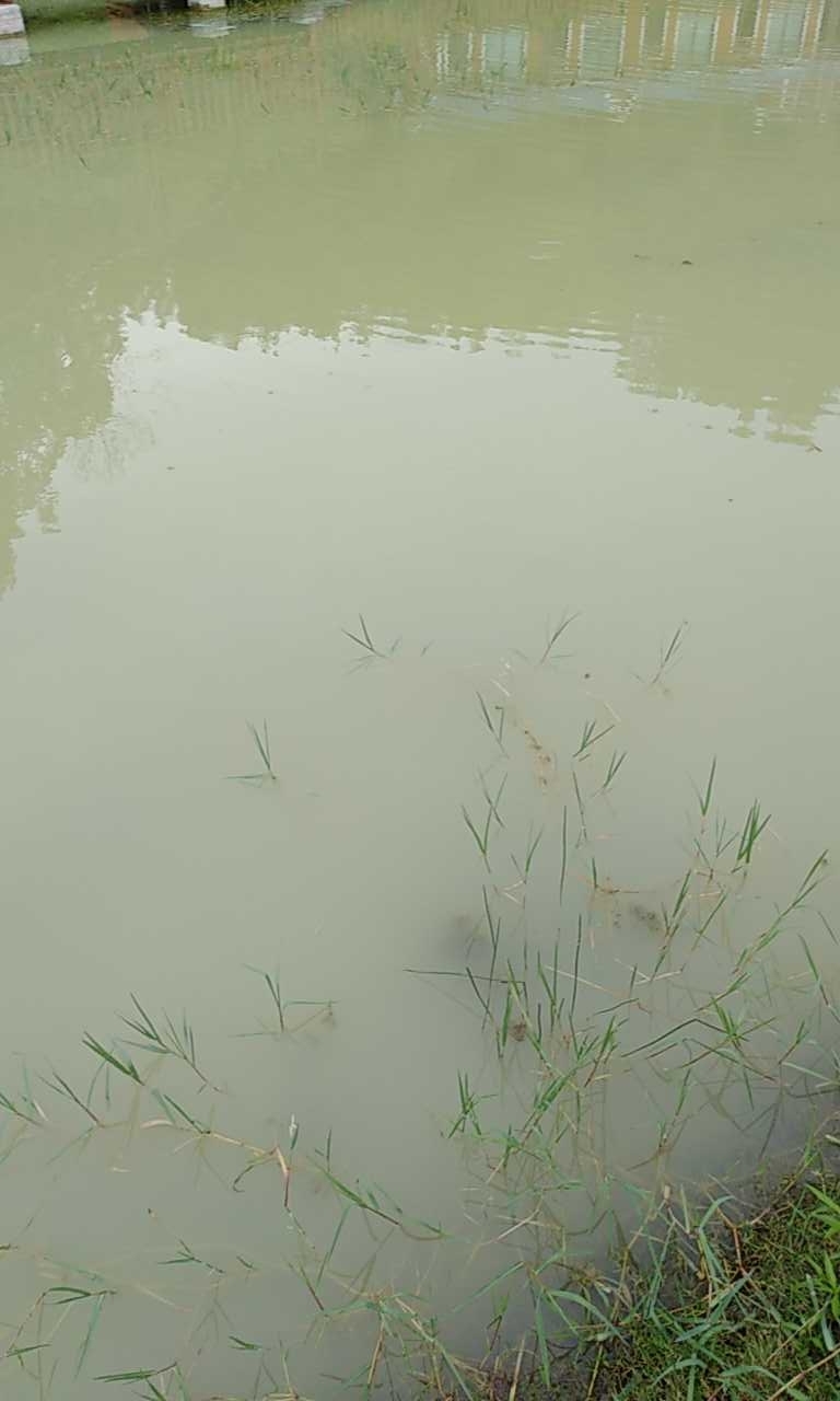 天山河谷休闲山庄