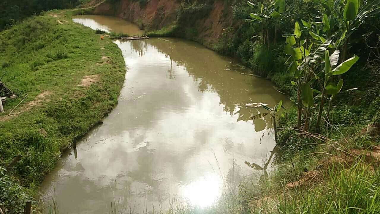 紫溪山生态垂钓园