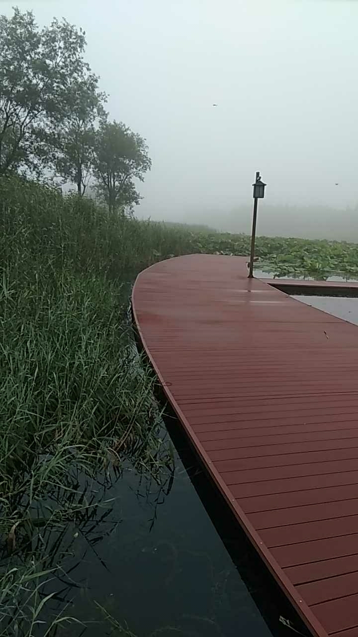 古黄河风景区亲水垂钓平台