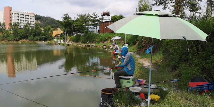 钓鱼岛特色农庄