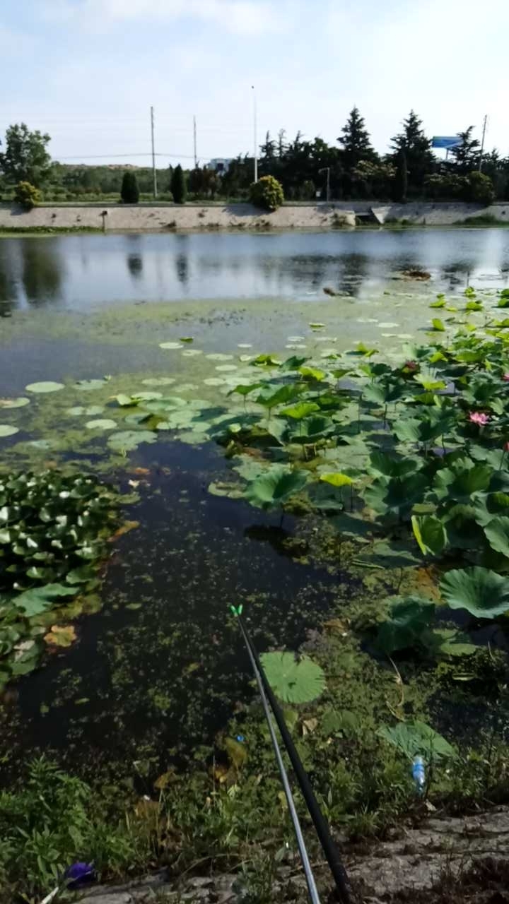 马道河