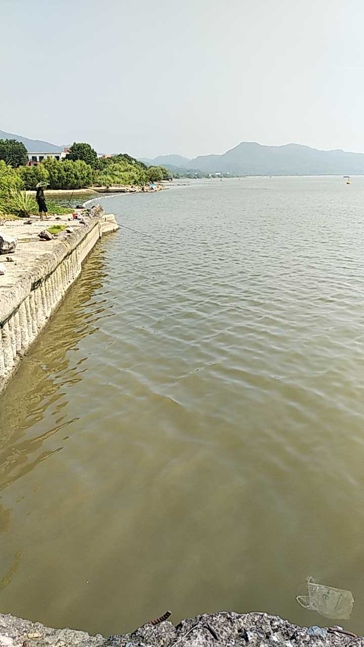 钱塘江之江大桥