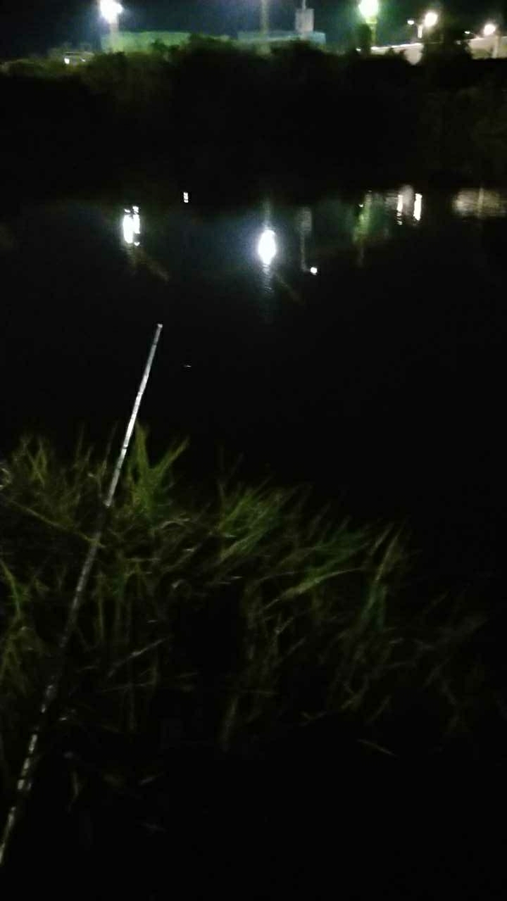 梦比大道与205国道交汇处