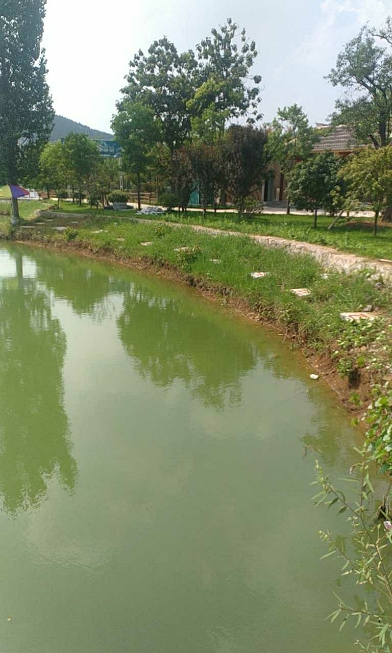 郡岭庄园快乐垂钓