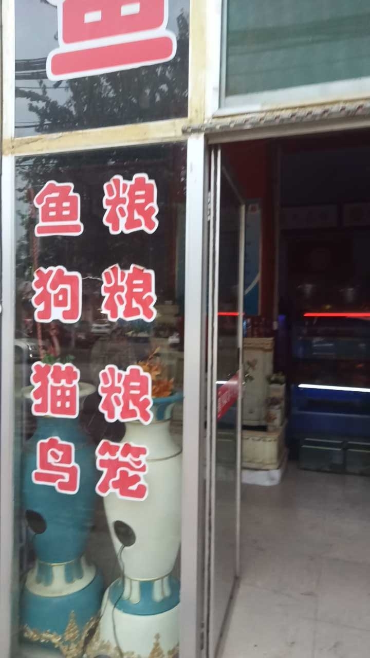 渔具宠物
