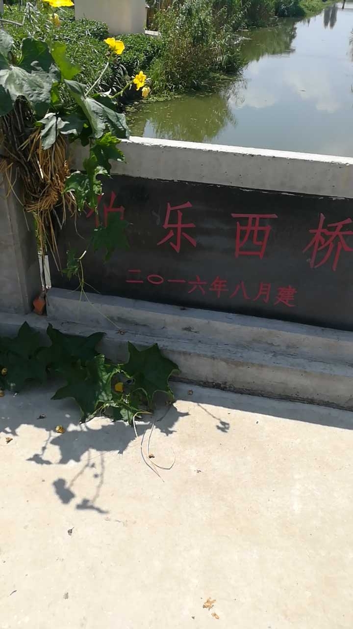 伯乐西桥无名野河