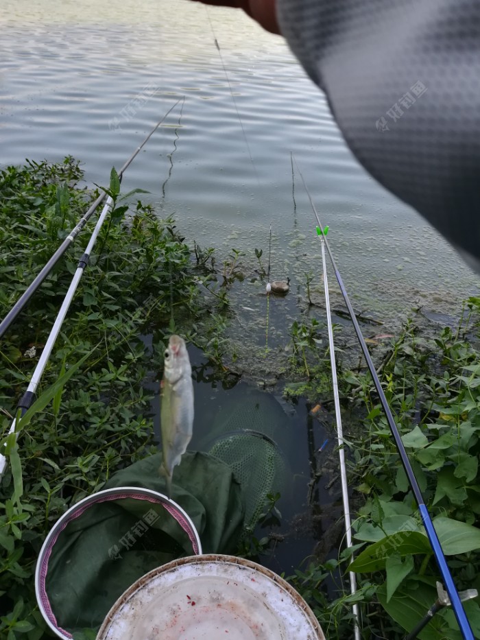 IMG_20180811_152216.jpeg