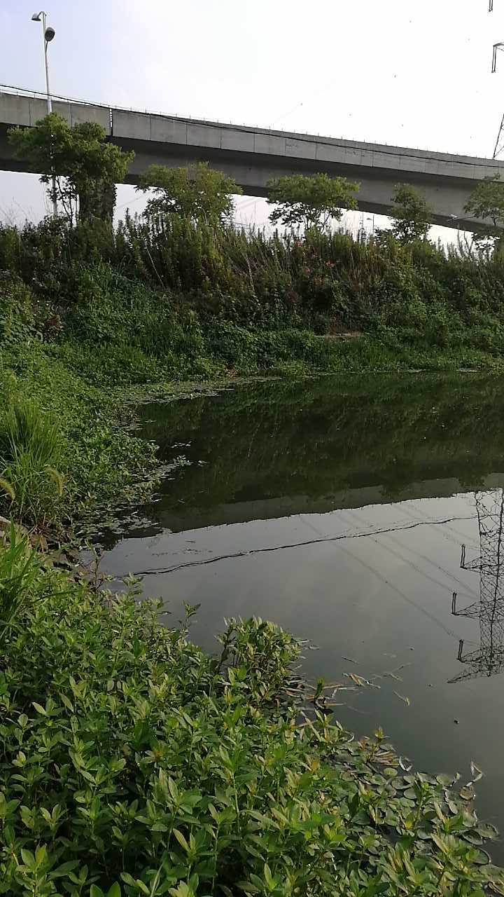 锡山大道与九里河地铁站