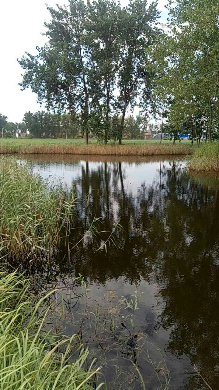 双李南湖路路西