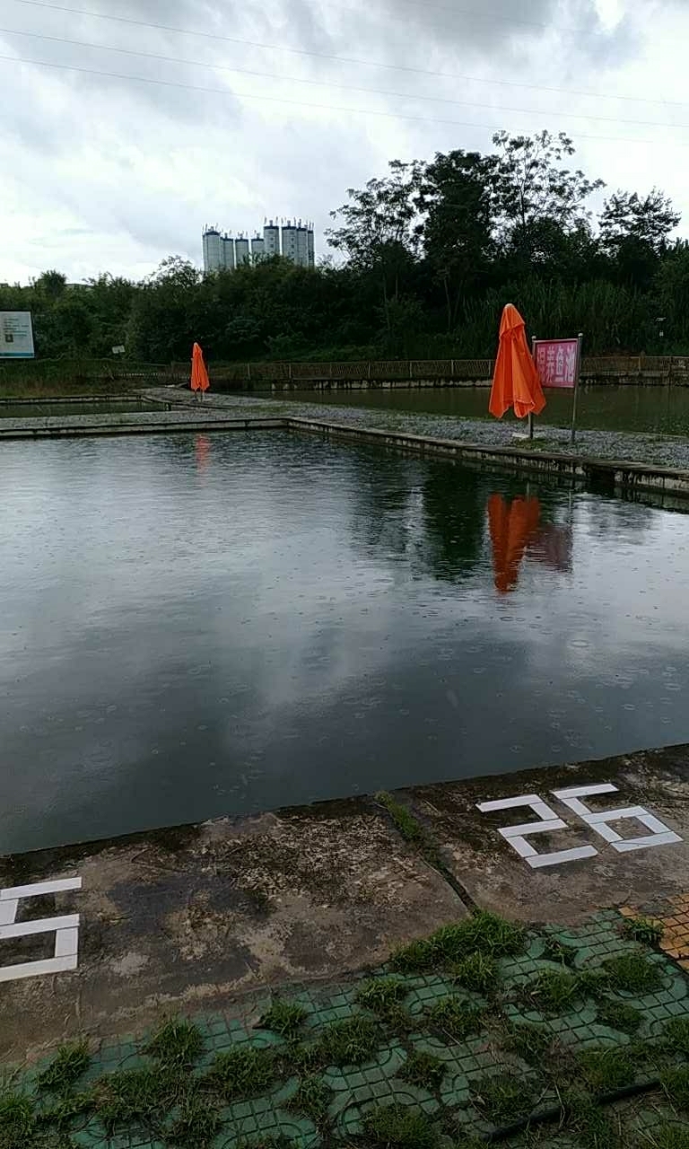 碧水缘休闲钓鱼山庄