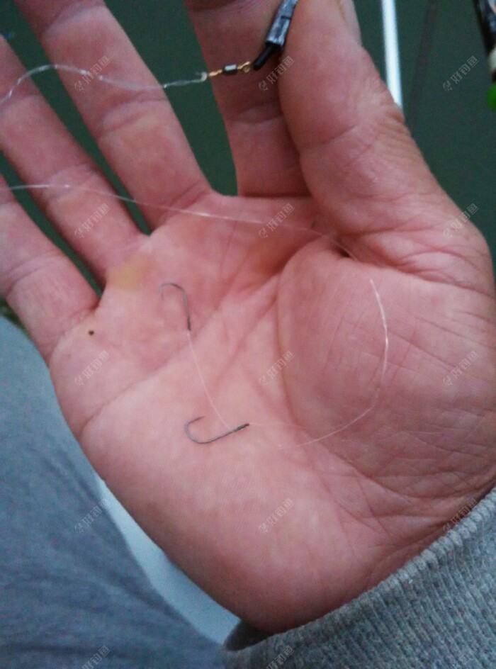 后来想看看是不是鱼钩大了,(重量大)。换个轻点的鱼钩口会大点,换了平台试钓的江湖猎人刺秦的鲫鱼7号钩(相当于新关东0.8)这钩很轻,能压浮漂1目。加1号子线