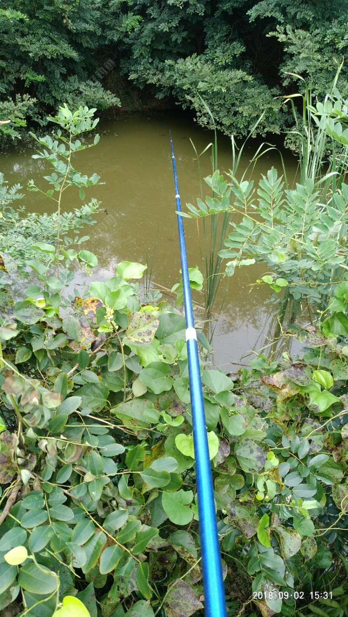 P80902-153145.jpeg