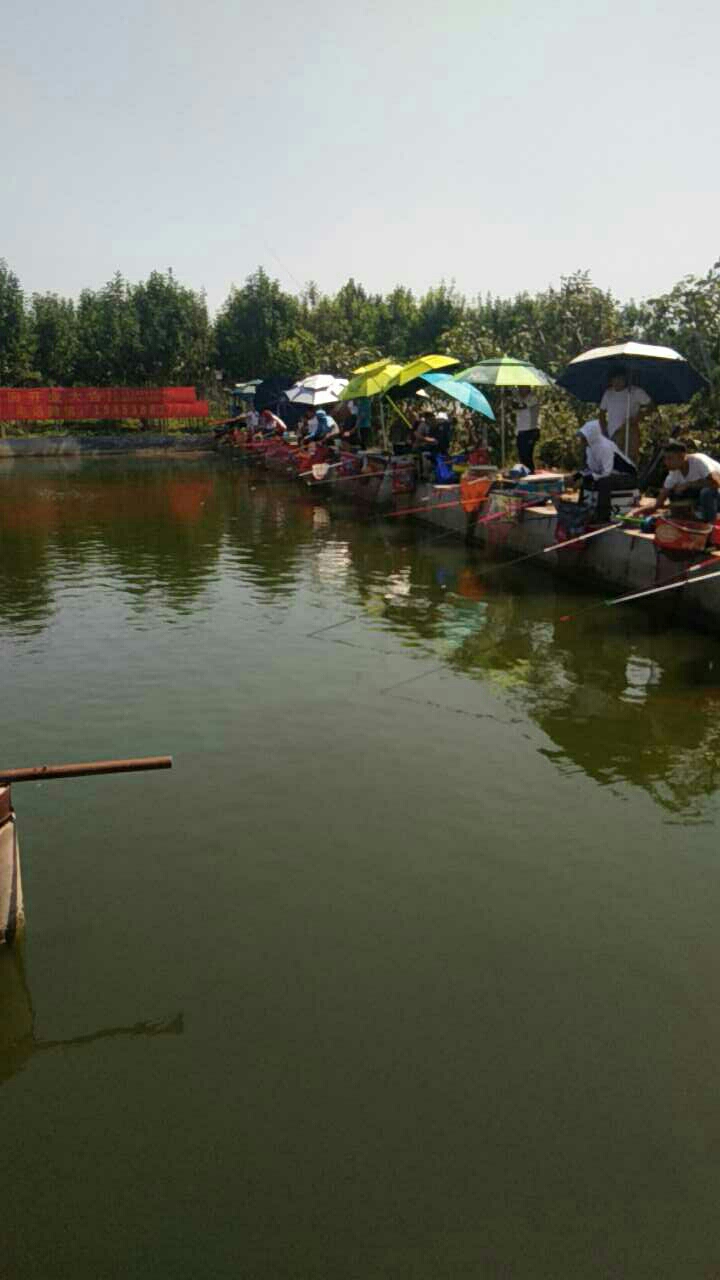 宁阳张陈渔乐圈垂钓园