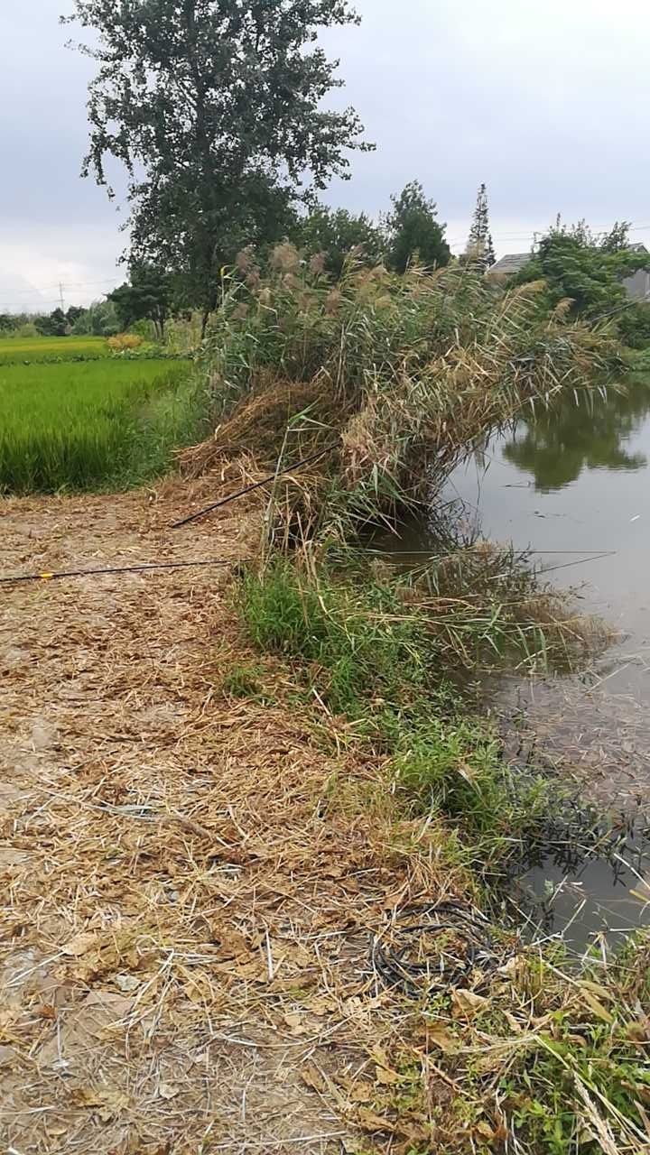 宝奎村部后方塘