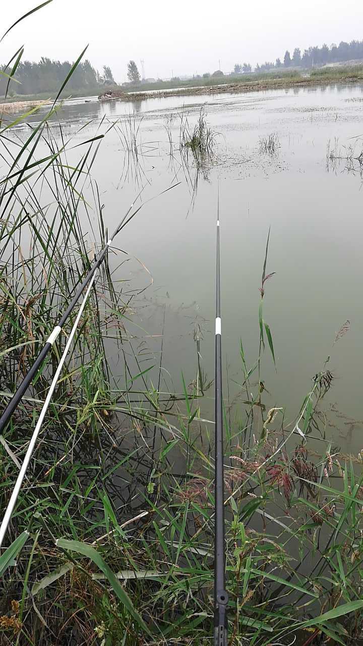 汦河大桥桥下河道