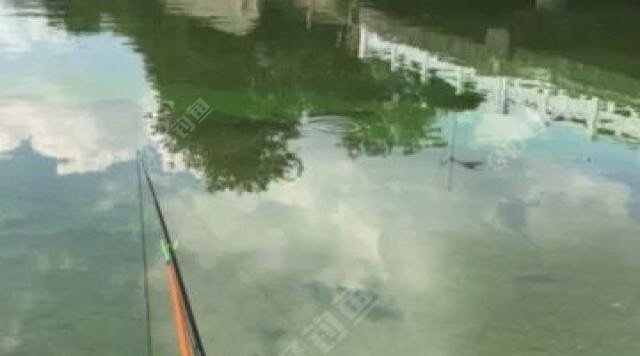 新乐路万园路交叉口