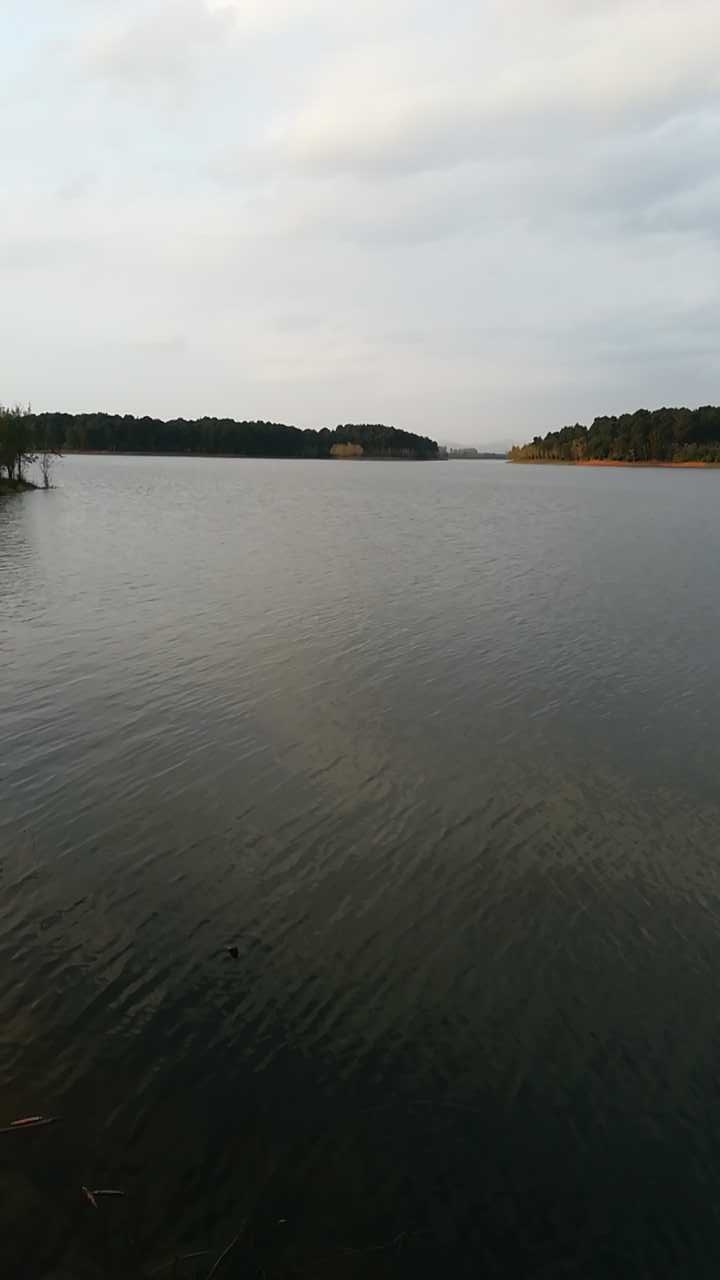 平坝农场樱花园