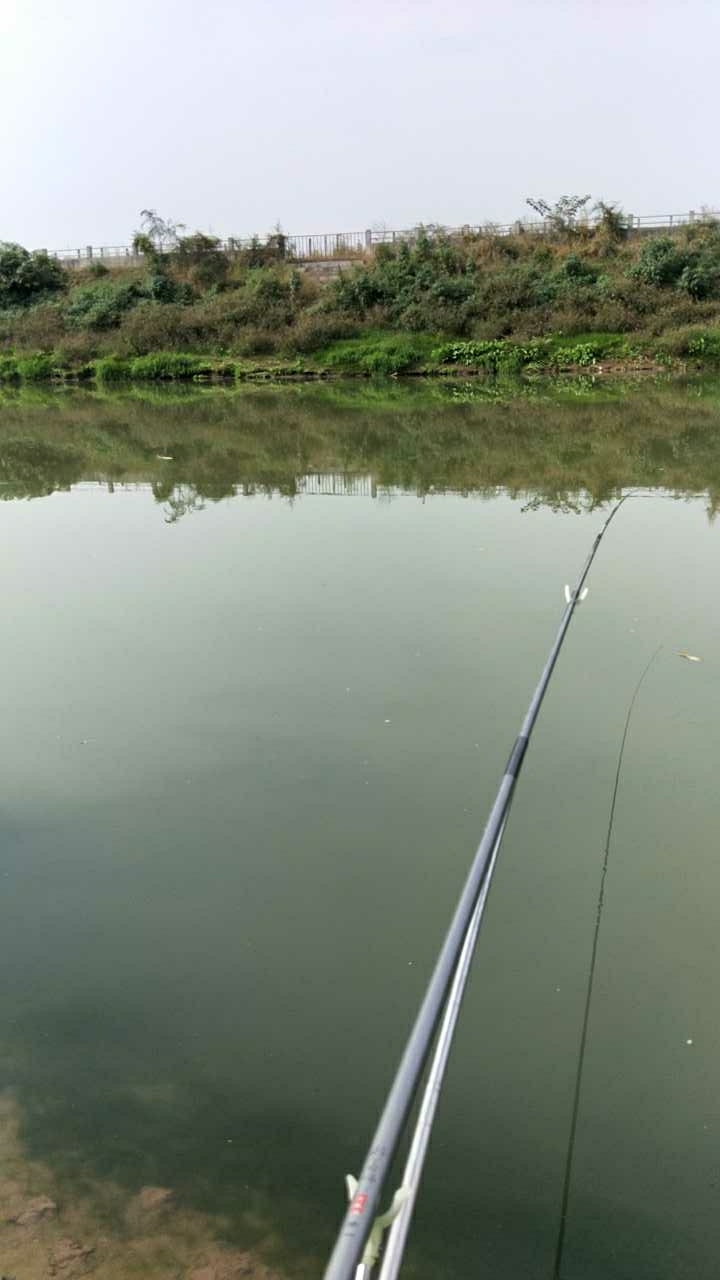 青白江区龙王镇泰康路