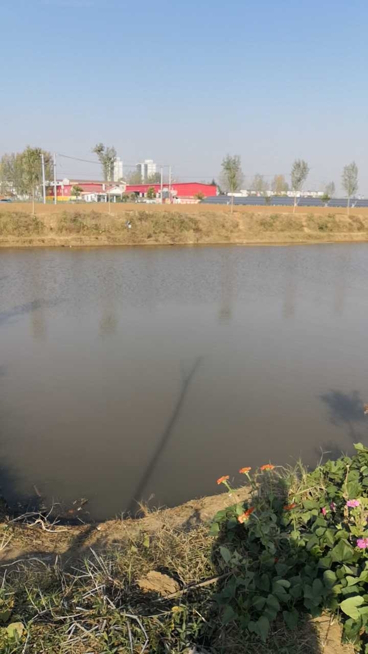 正阳县顺发风情垂钓园