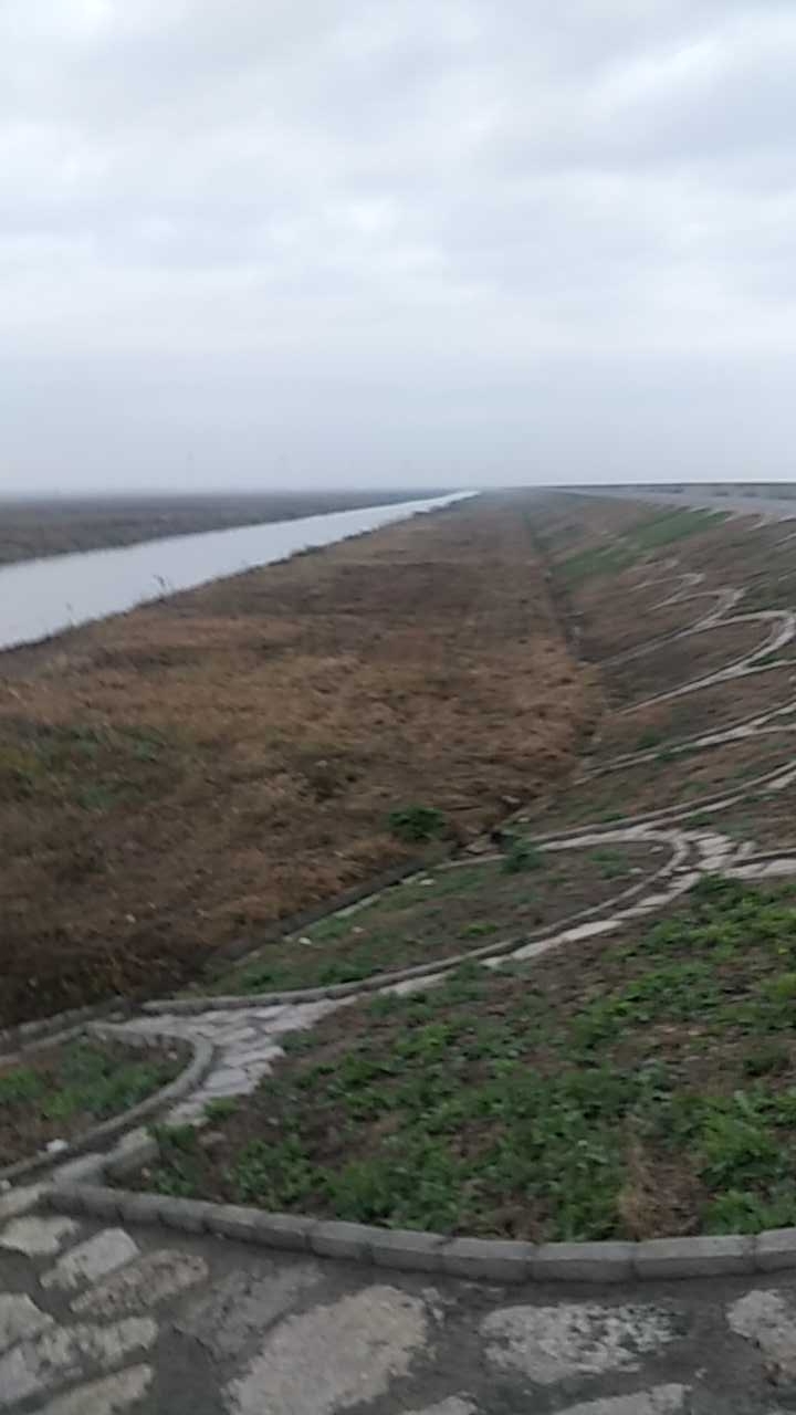 风吹麦浪 好运来钓场