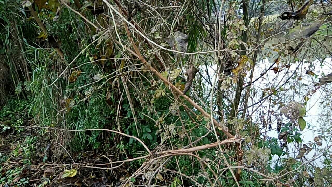 简阳市禾丰镇农民村