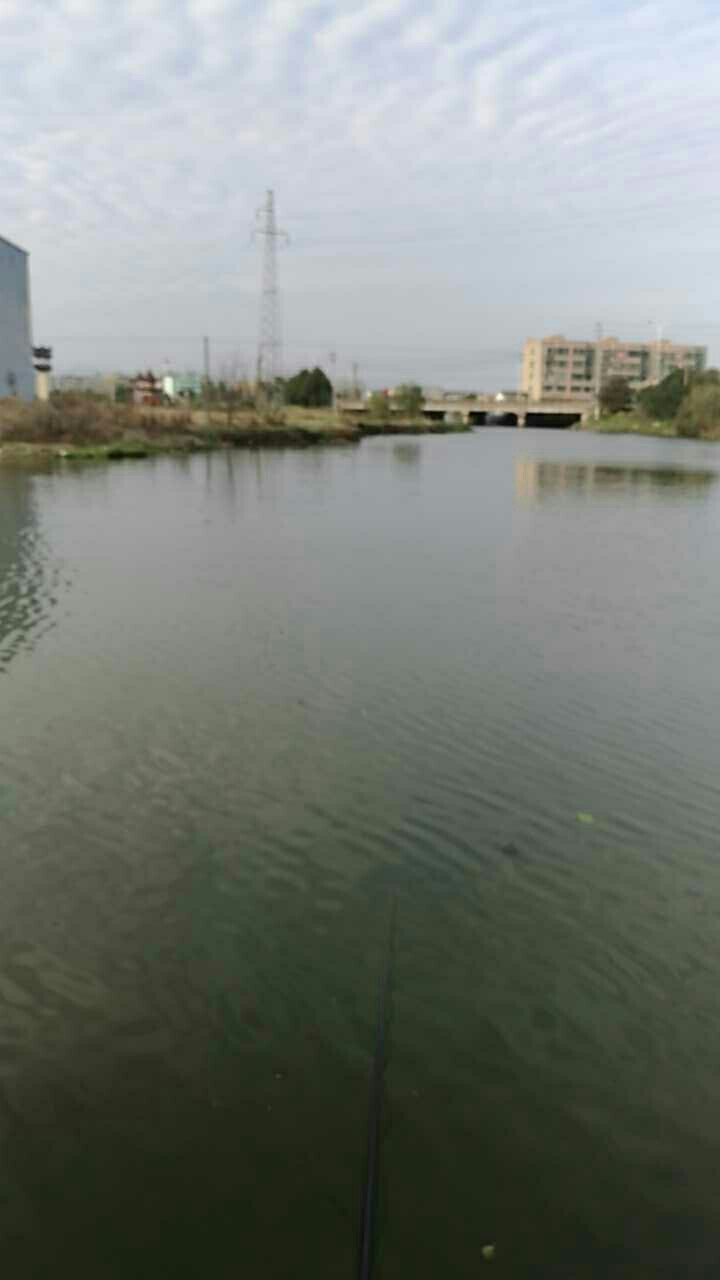 龙金大道玉友村口野河