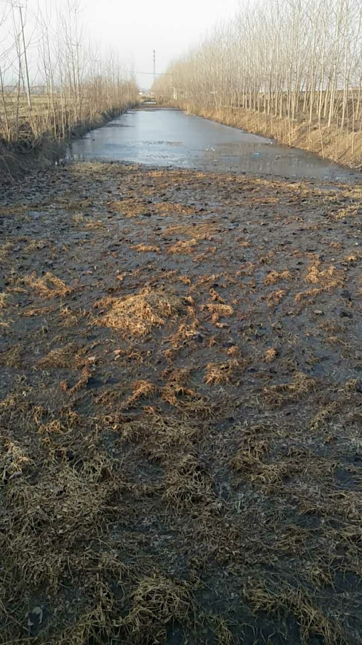 仙铺东南北河