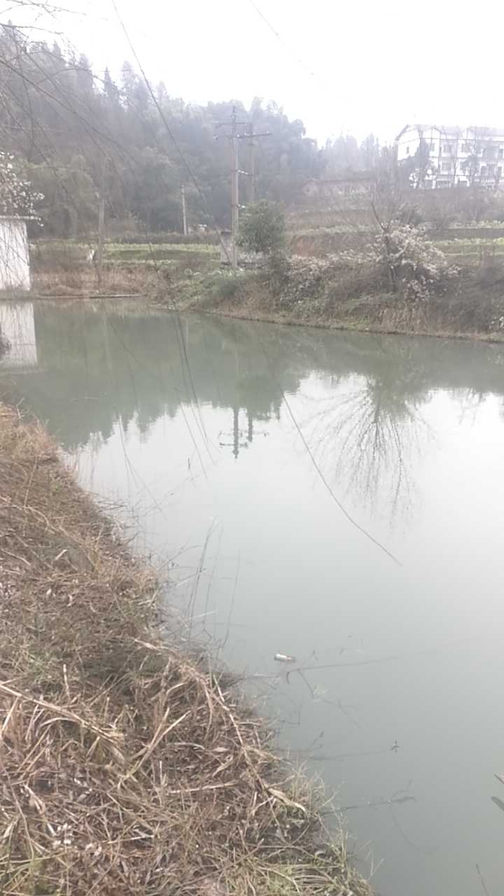 唐家湾鱼塘