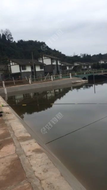 邛崃市兴源鑫钓鱼俱乐部
