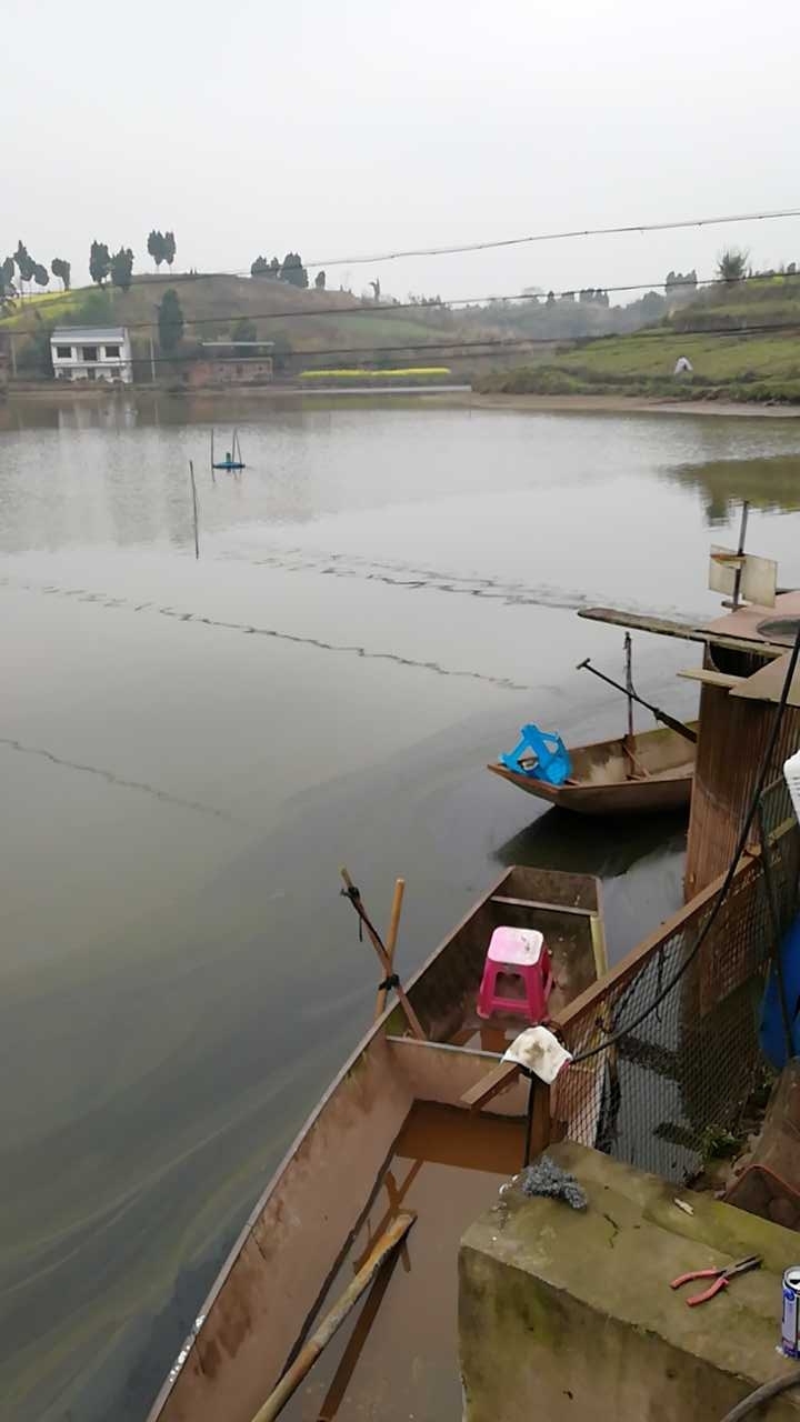 胡石村鱼塘