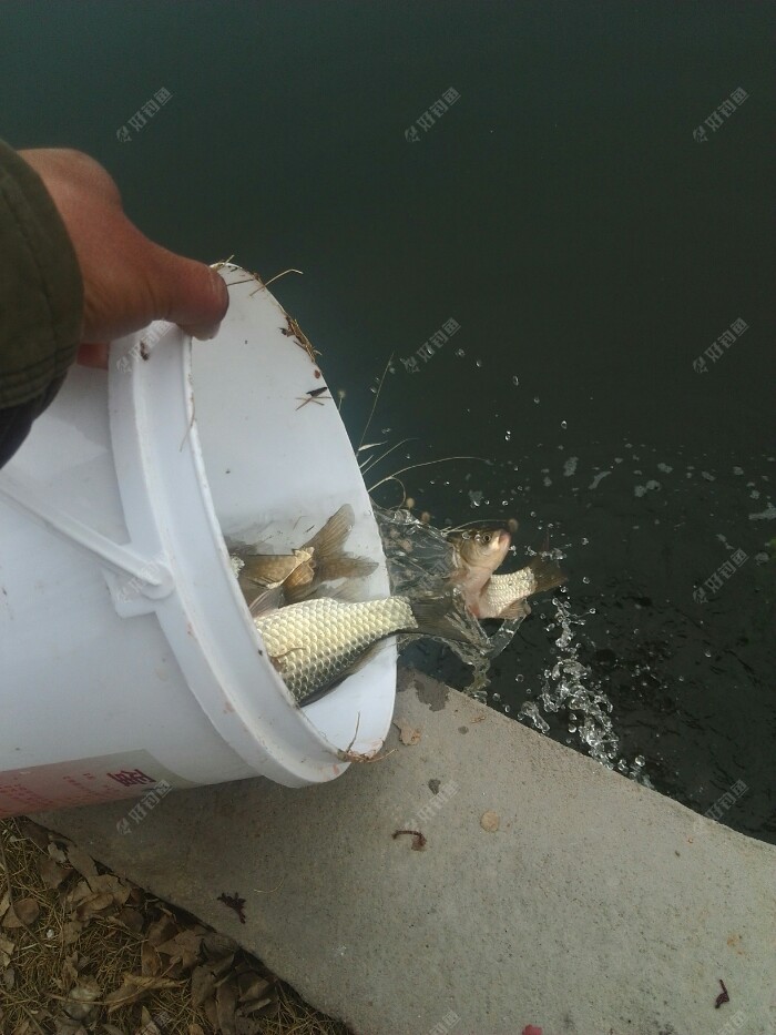 抓个头目，小的不要了。