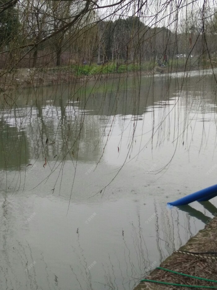 天气一好点钓鱼人就都跑到河