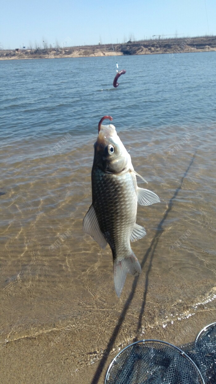 IMG_20190312_114001.jpeg