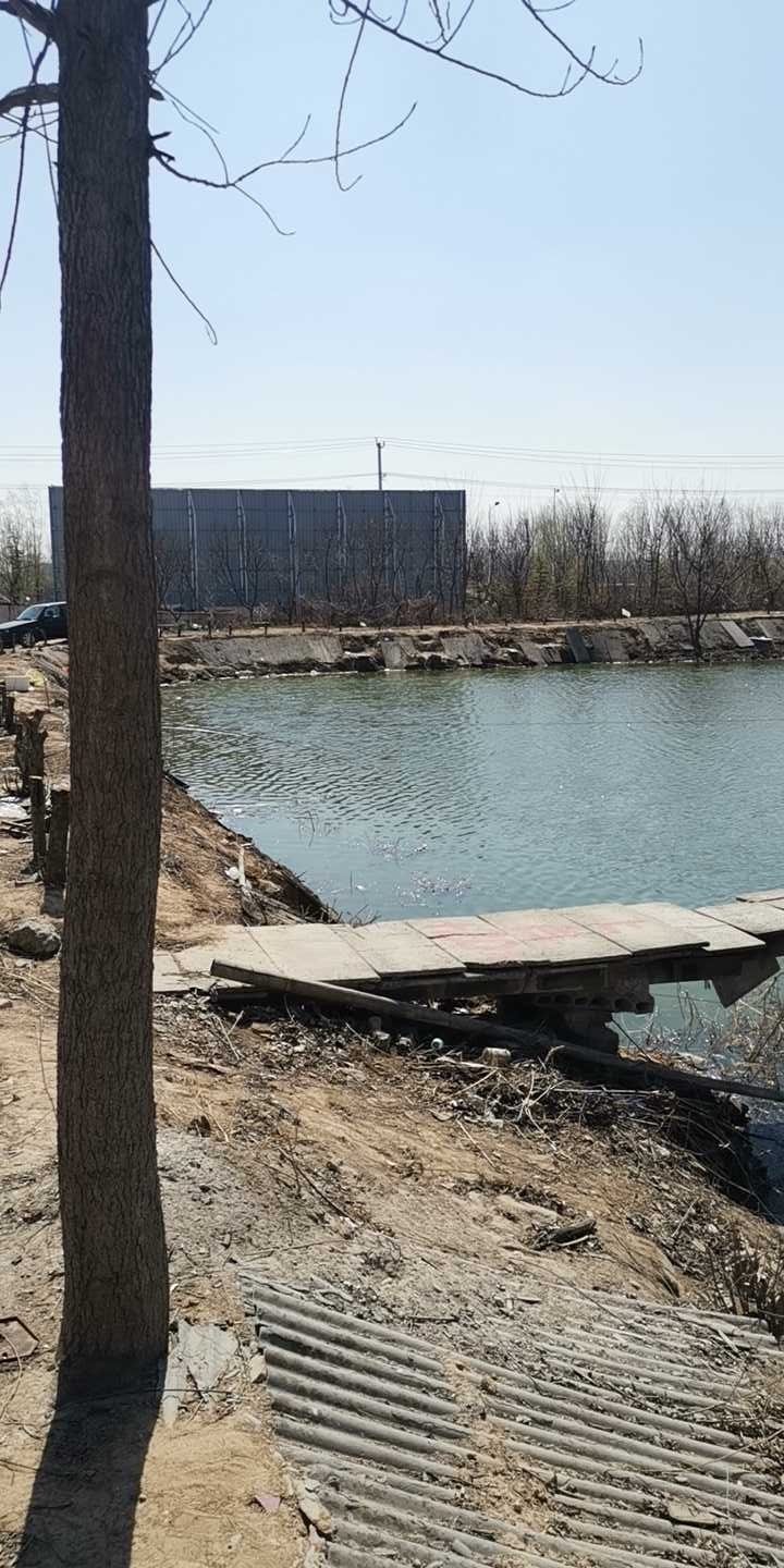 九里西湖垂钓中心