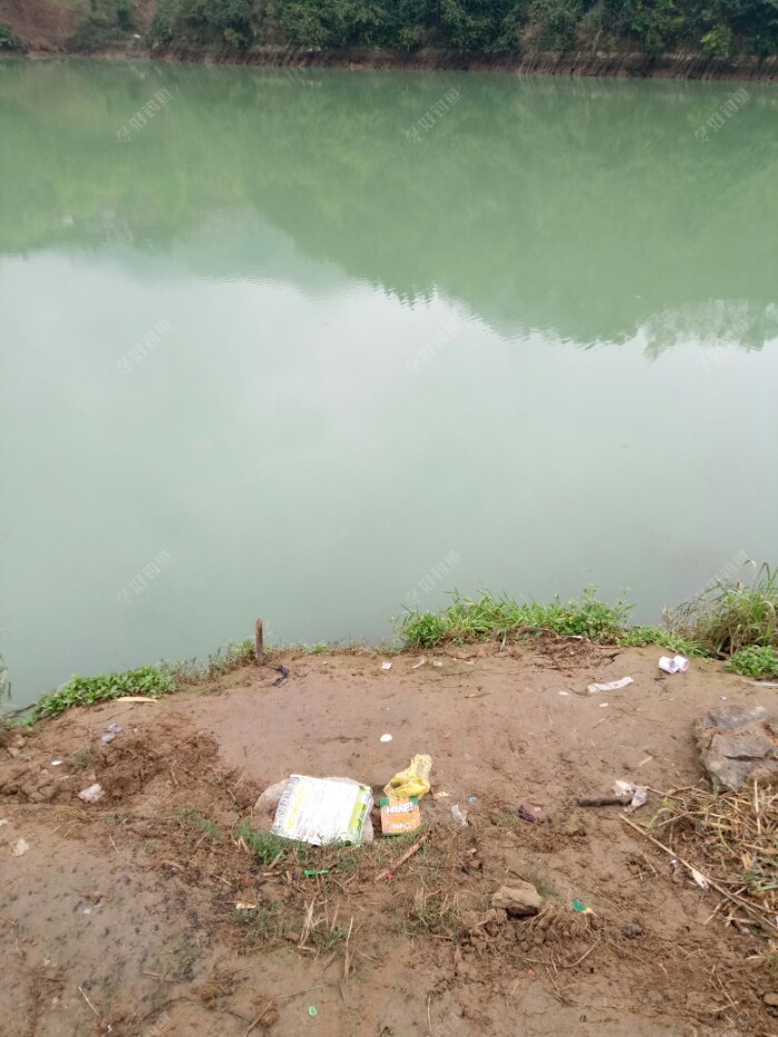 我以前的老钓位，离水面3米以上，很难钓