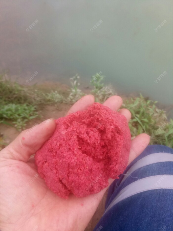 开好的拉饵，已经醒好了，状态还不错