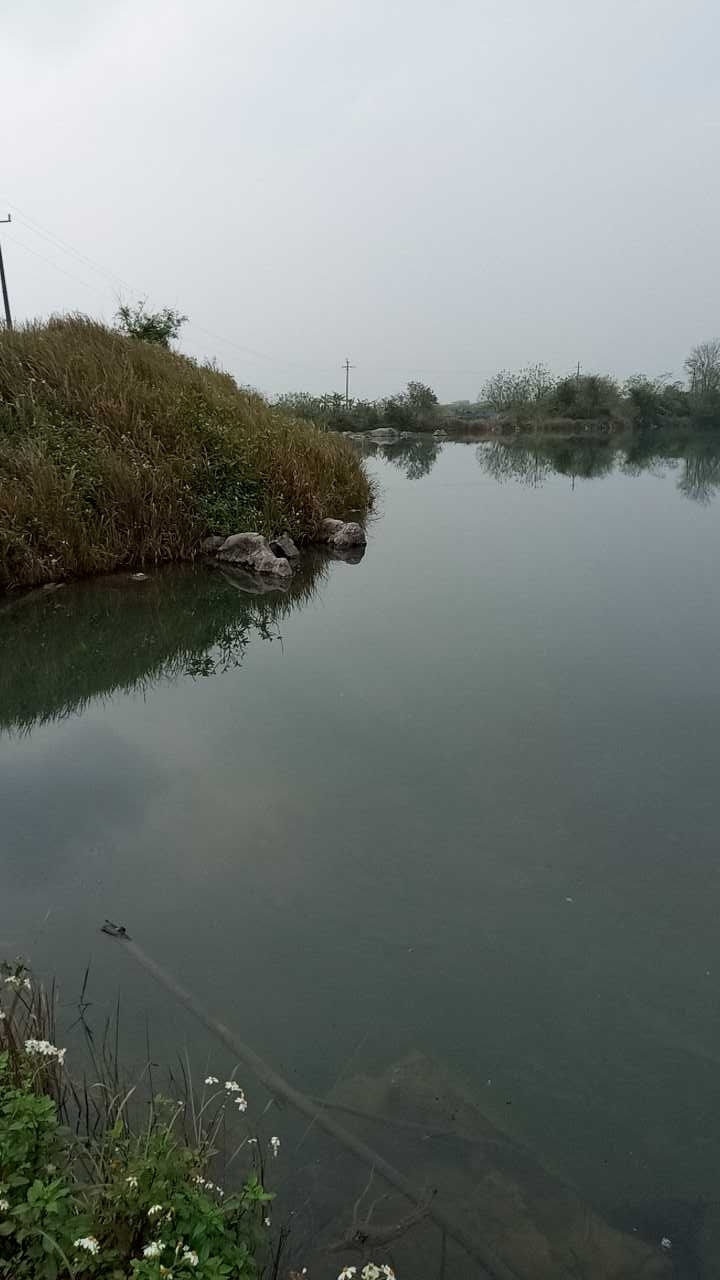 德湖山庄后面的水库