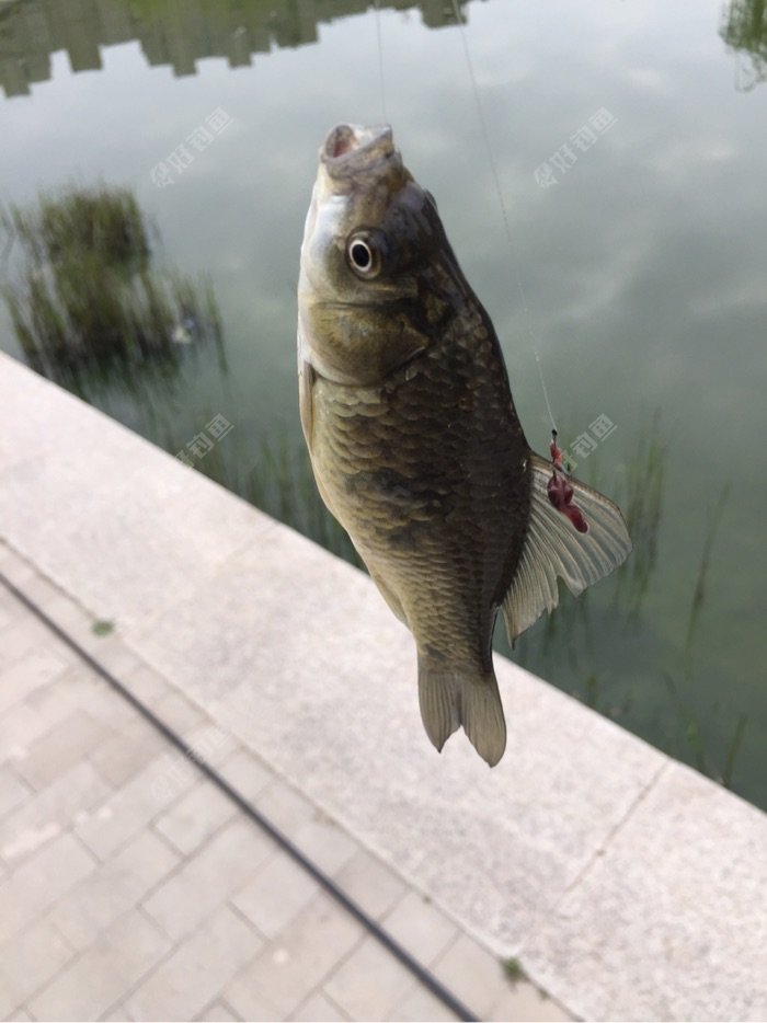 我的收获