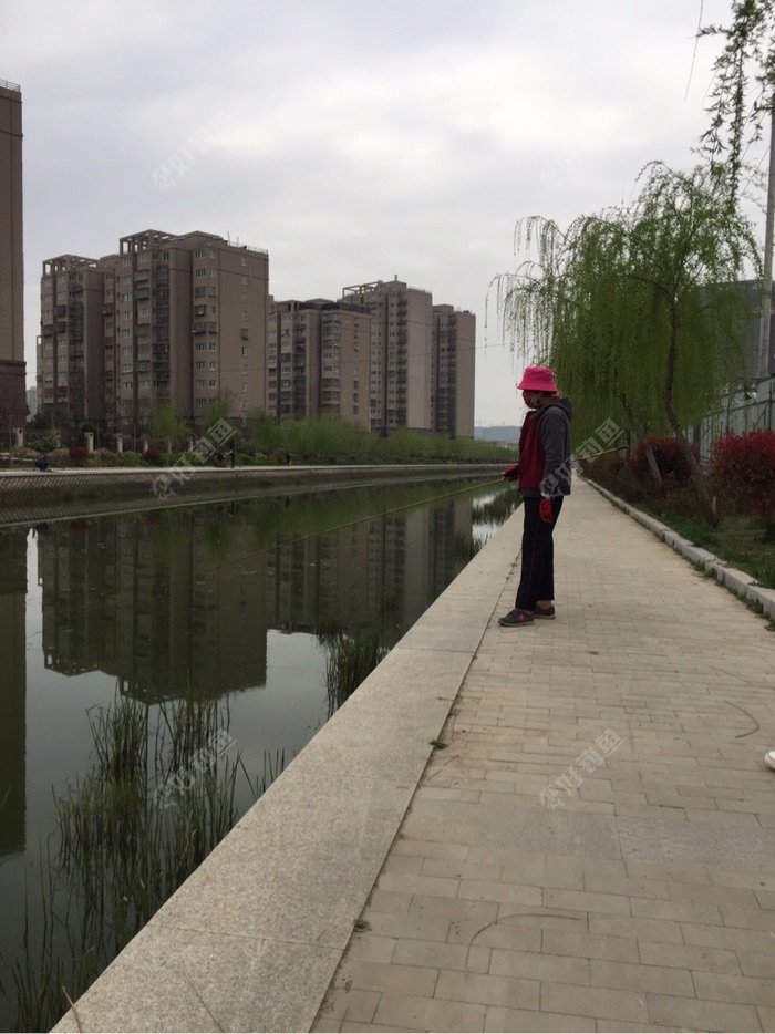 老伴来到后在钓鱼