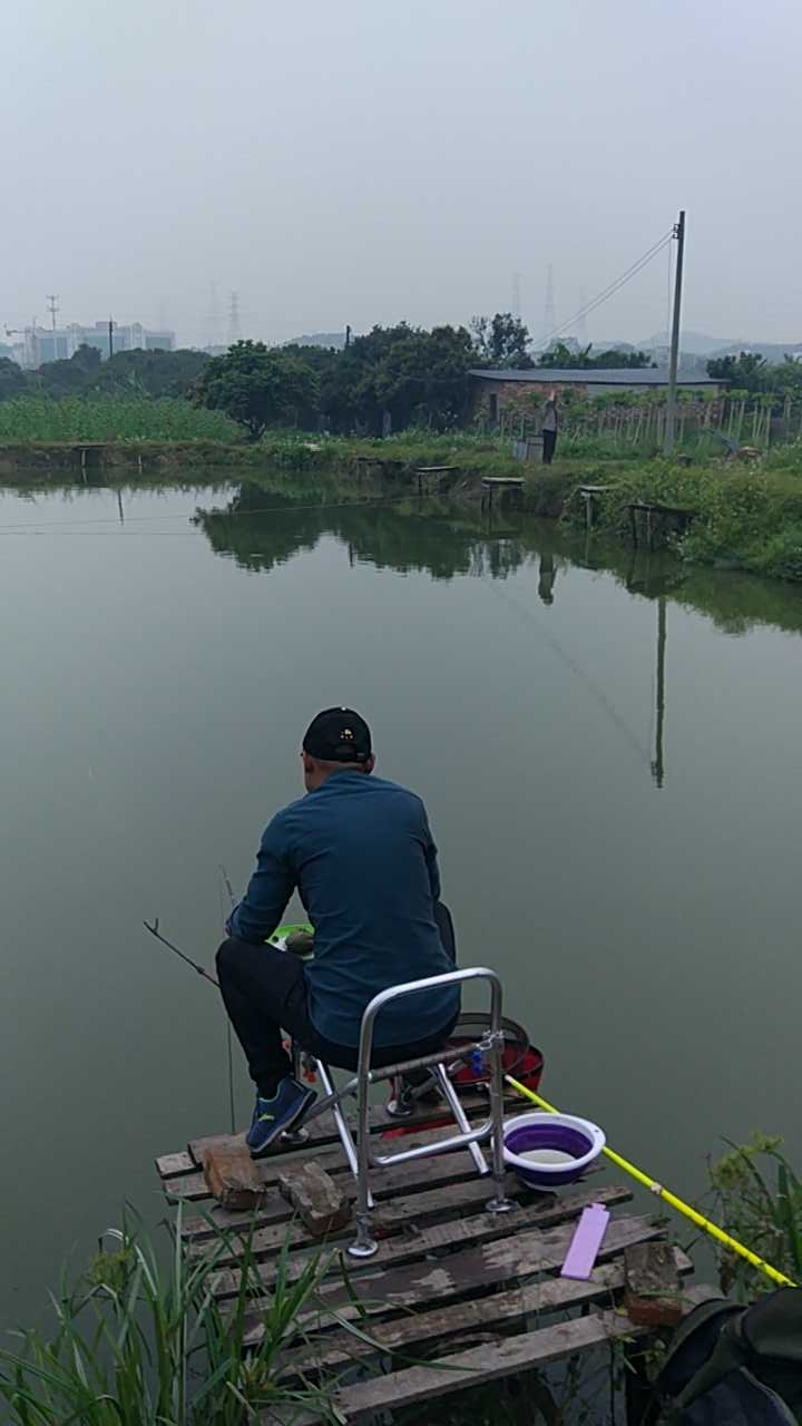 老杨钓鱼场