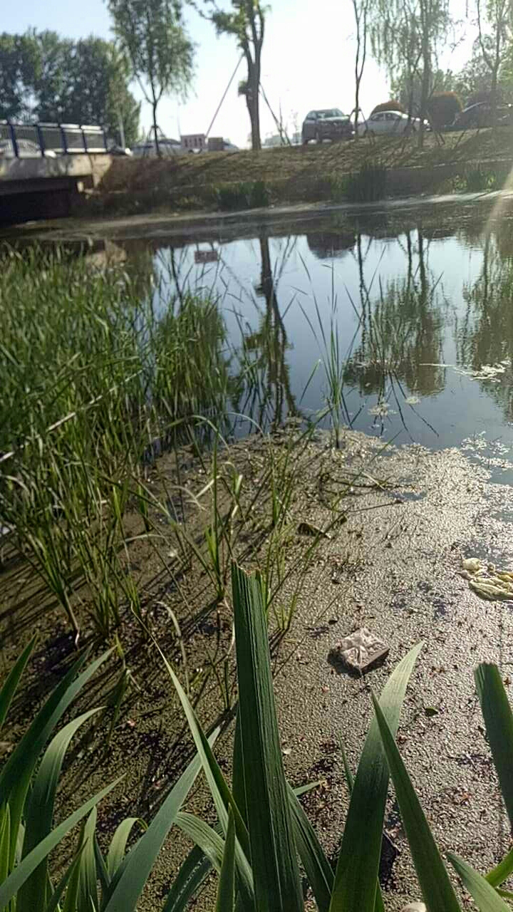 恒大观景河