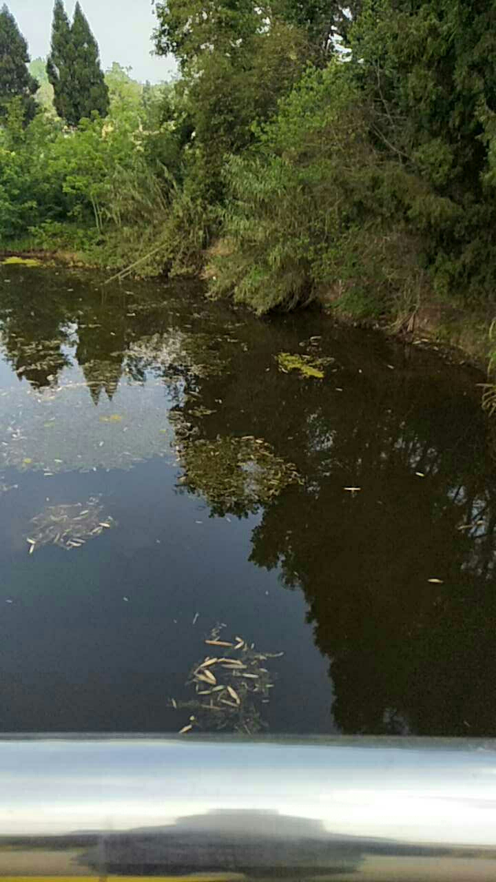 兰河院张家堤口河流