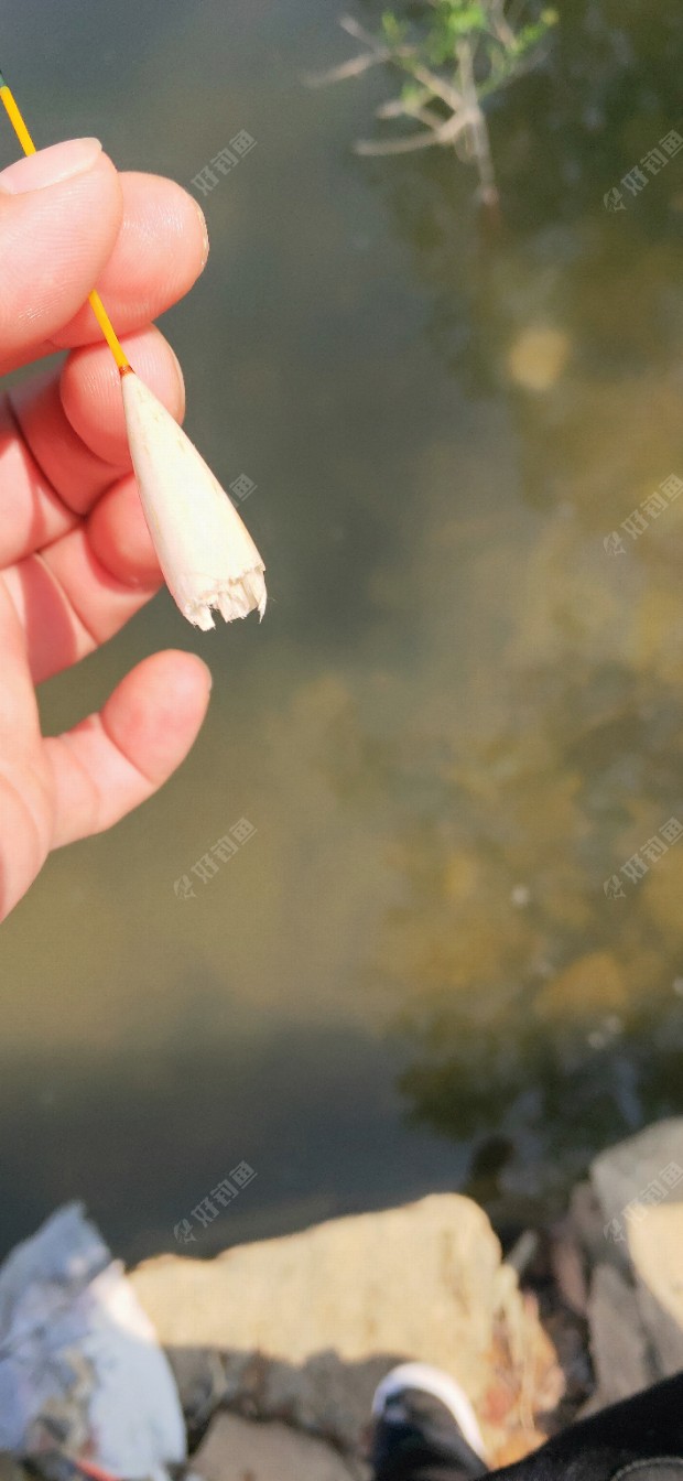 水库里面，突然出现了一个人