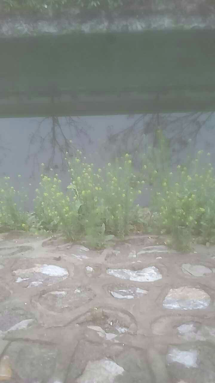 百丽南门