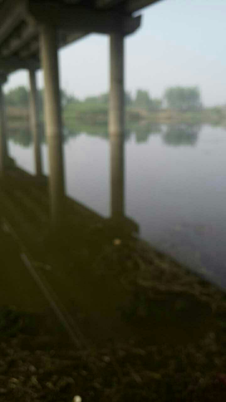 洙赵新河高速桥下