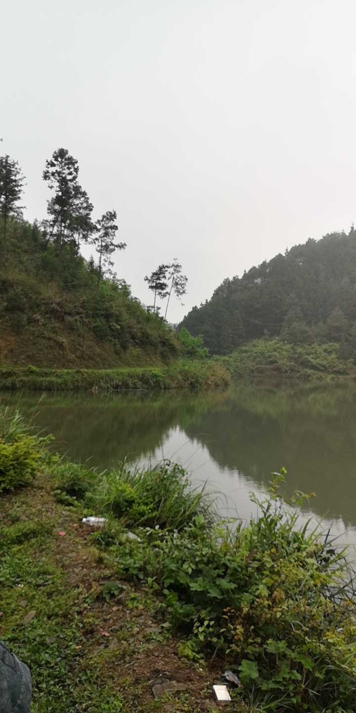 瓦寨镇朝阳水库