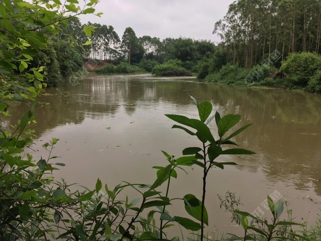 正前方是个弯水流很急除非是