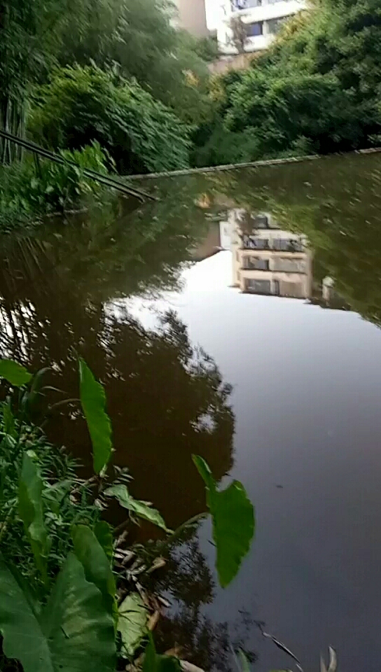 护国中学后面的那条河