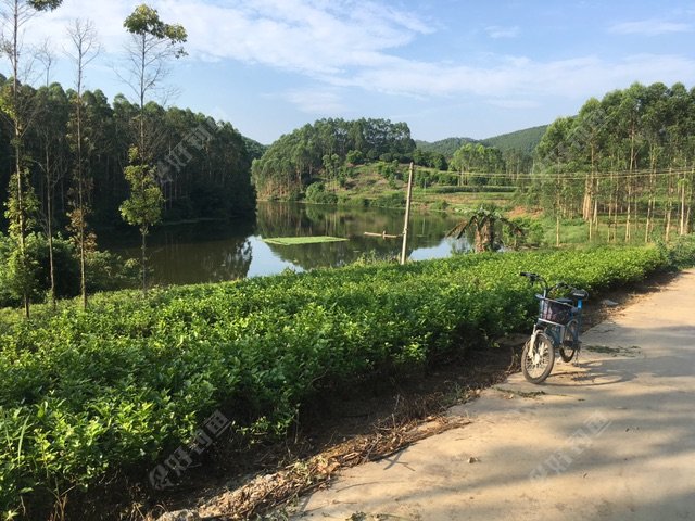 这一段是这野河最深的3-10米